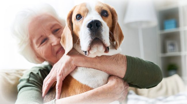 zivotinje-u-domu-za-stare